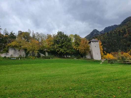 Die wunderschöne Welt mit Hund.-Beitrag-Bild