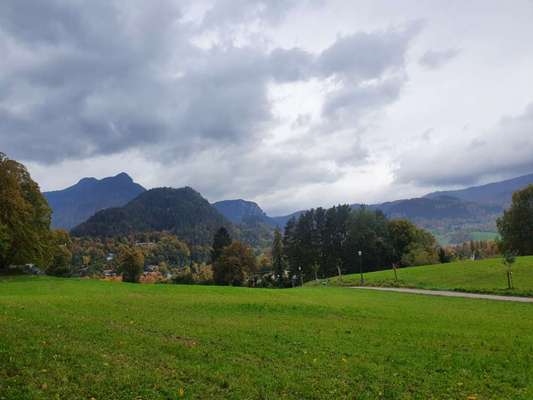 Die wunderschöne Welt mit Hund.-Beitrag-Bild