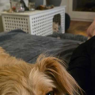 Wie habt ihr den Silvesterabend verbracht?-Beitrag-Bild