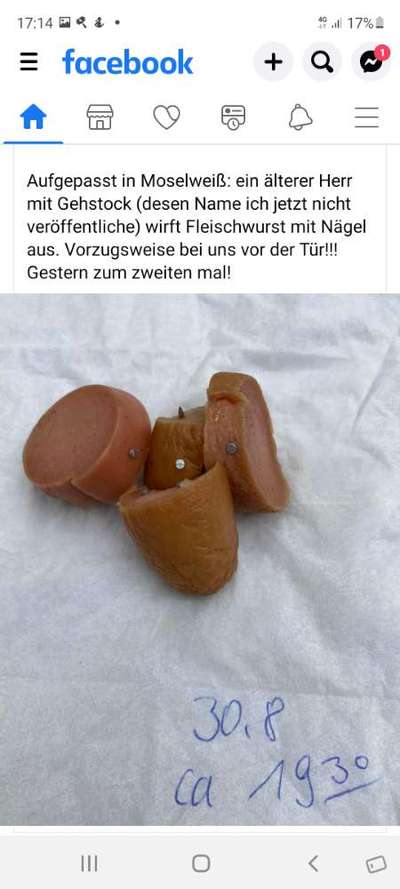 Giftköder-Fleischwurst mit Nägel-Bild