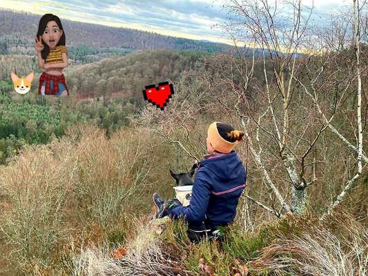 Die Dogorama Wochen Challenge-Beitrag-Bild