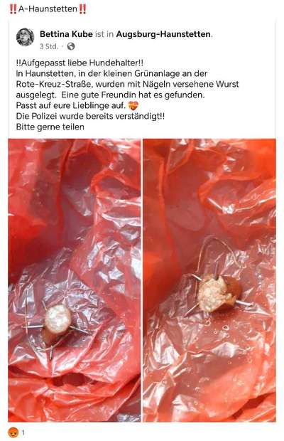 Giftköder-Mit Nägeln gespickte Wurst-Bild