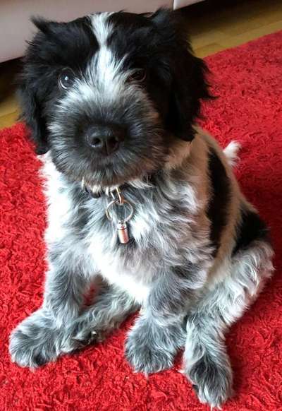 Foto Challenge 3-Beitrag-Bild