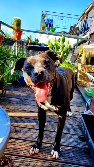 Doppelgänger gesucht !-Beitrag-Bild