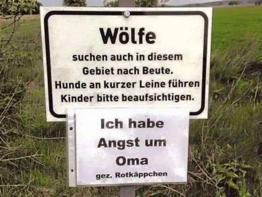 Wild & Hund- Was sollte ich beachten?-Beitrag-Bild