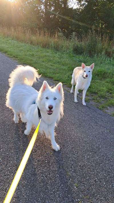 Was hat euch heute gefreut?-Beitrag-Bild