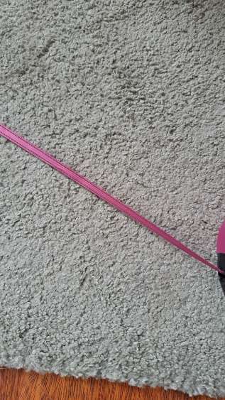 Training mit der Flexileine-Beitrag-Bild