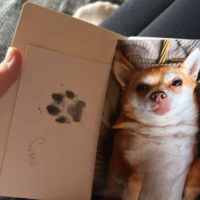 Suchmeldung-Maily-Bild