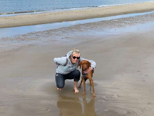 Die Dogorama Wochen Challenge: “Dein Hund im Urlaub”-Beitrag-Bild