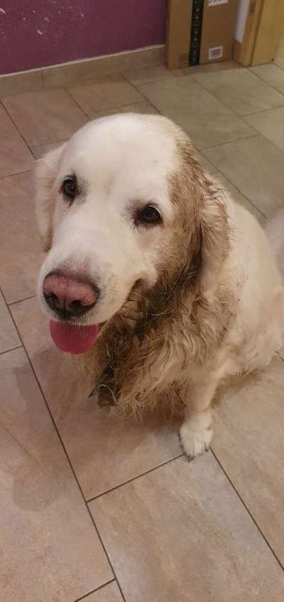 Tongue Out Tuesday-Beitrag-Bild