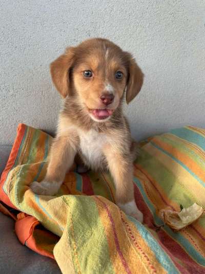 Tongue Out Tuesday-Beitrag-Bild