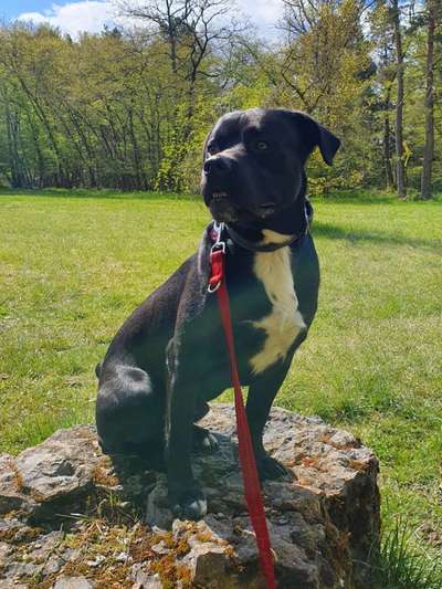 Doppelgänger gesucht !-Beitrag-Bild