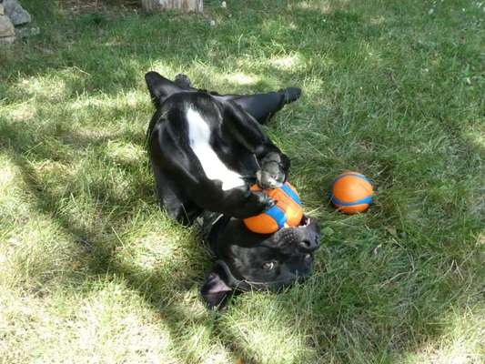 138. Fotochallenge 

(M)Ein Ball und ich-Beitrag-Bild