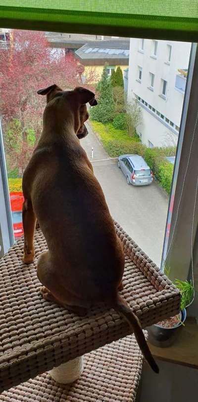 120. Fotochallenge-Beitrag-Bild