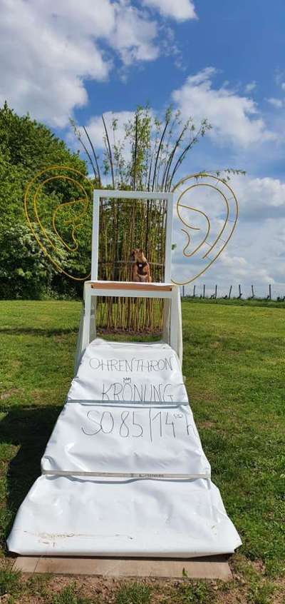 Dogorama Photo Challenge - Gassipause-Beitrag-Bild