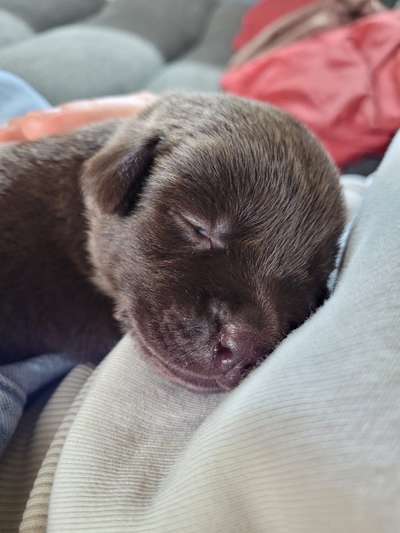 Erstes Bild-Beitrag-Bild