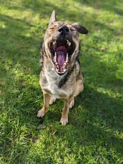 "Die eingefangene Magie des Augenblicks"-Beitrag-Bild