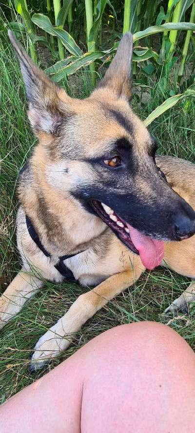 Moviestar-Pics!-Beitrag-Bild