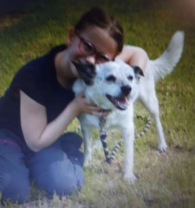 Unsere Fellnasen im Regenbogenland-Beitrag-Bild