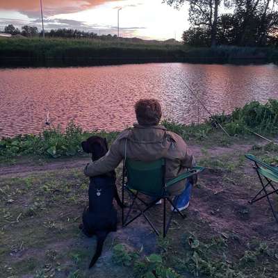 Hundetreffen-Spielrunde-Profilbild