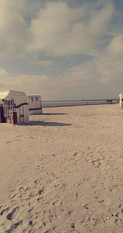 Hundeauslaufgebiet-Norden Hundestrand, Norddeich-Bild