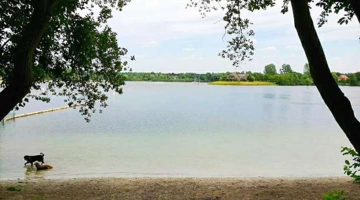 Hundeauslaufgebiet-Badesee Tannenhausen-Bild