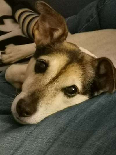 Fotochallenge Nr. 56 - geliebte Senioren-Beitrag-Bild