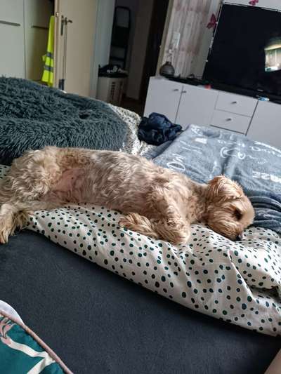 FOTO-Challenge  NR. 91: Die pure Entspannung-Beitrag-Bild