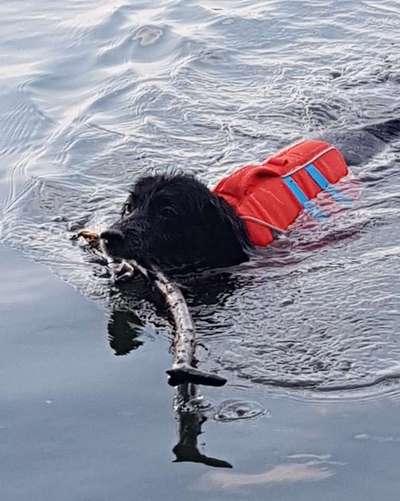 Fotochallenge 27-Beitrag-Bild