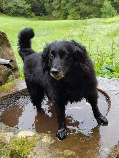 Fotochallenge No. 26                                     Wald und Wiese-Beitrag-Bild