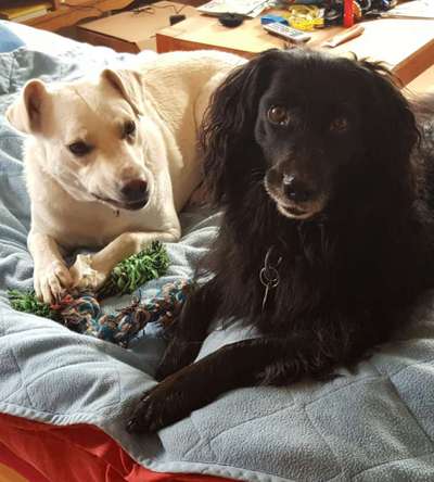 Fotochallenge Nr. 62 Romantische Momente-Beitrag-Bild