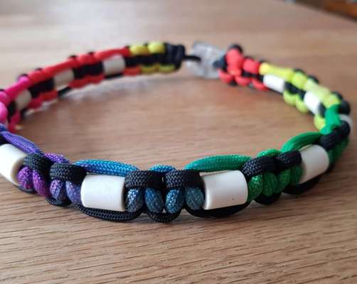 Floh und Zeckenmittel-Beitrag-Bild