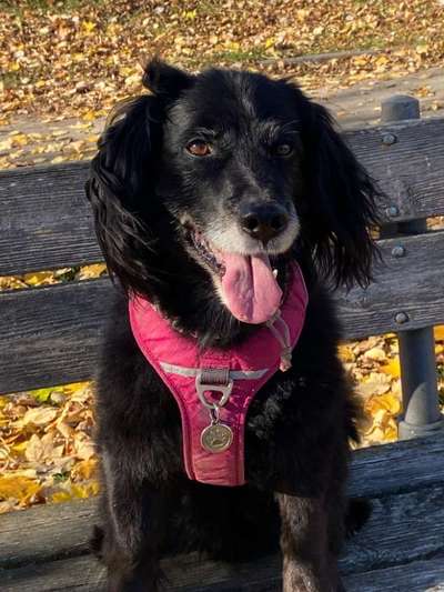 Fotochallenge Nr. 56 - geliebte Senioren-Beitrag-Bild