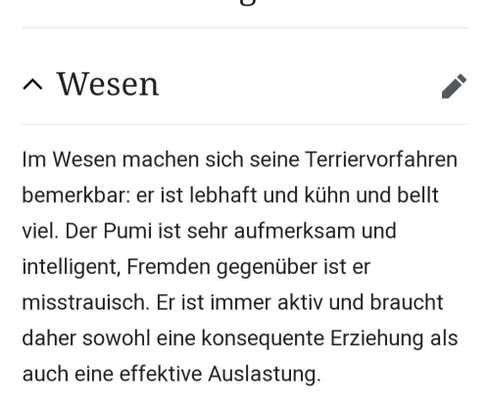 Pumi außer Kontrolle-Beitrag-Bild