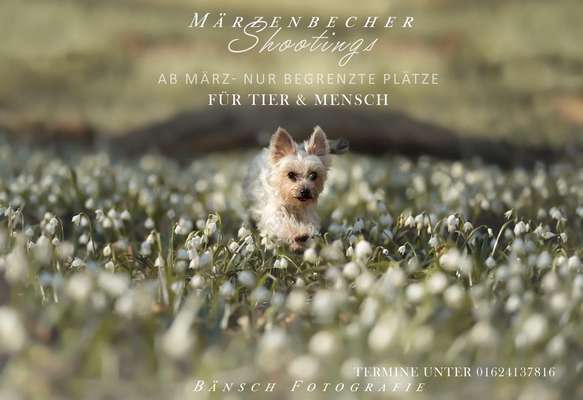 %{de_profession_title}-Märzenbecher-Bild