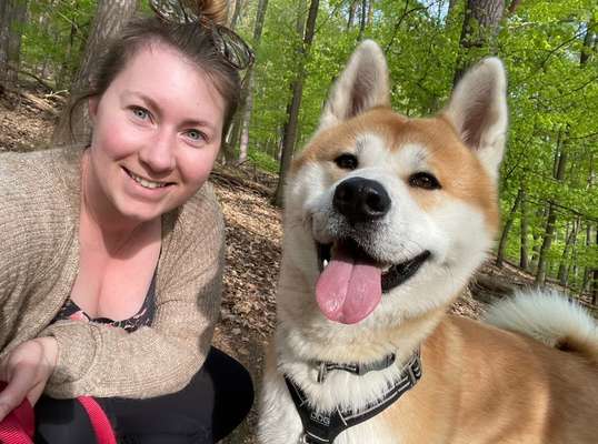 Hundewiese/ Hundeplatz mieten-Beitrag-Bild