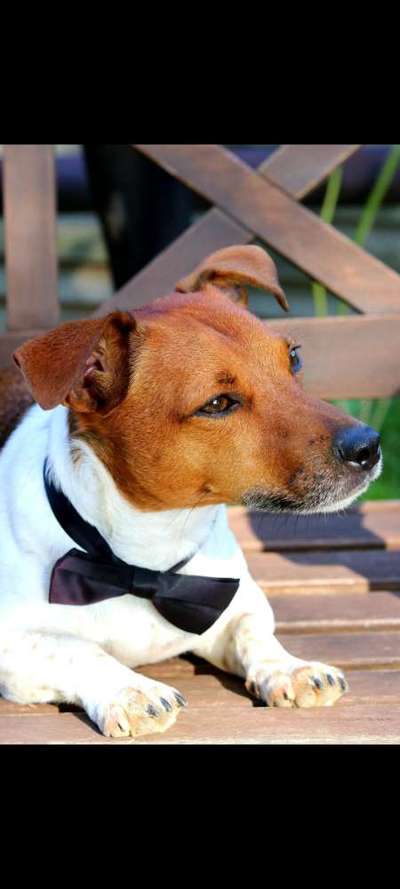 Lieblingsbild-Beitrag-Bild