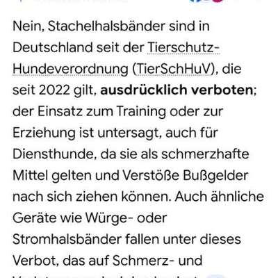 Stachelhalsband mit Noppen-Beitrag-Bild