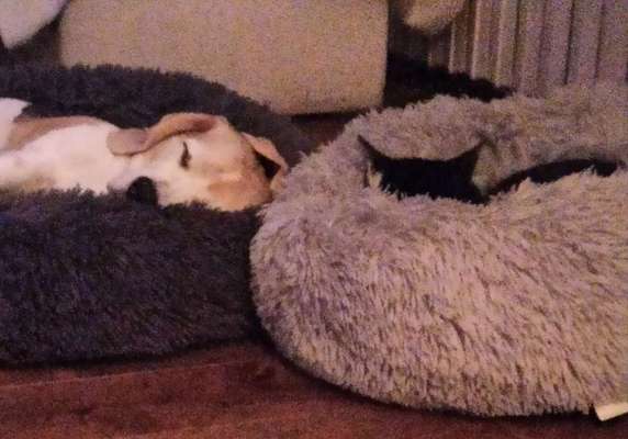 Erfahrung mit Wolkenbett-Beitrag-Bild