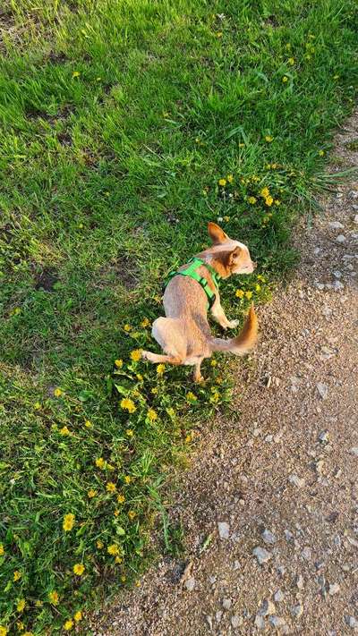 Fotowettbewerb Natur-Beitrag-Bild