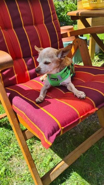 Fotochallenge Nr. 94 It's summer time-Beitrag-Bild