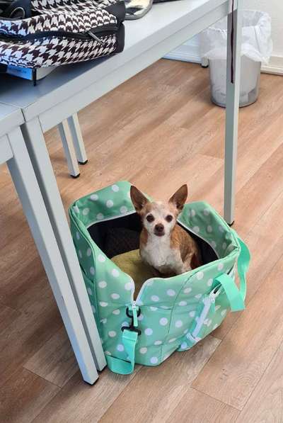 Zeigt her...-Beitrag-Bild