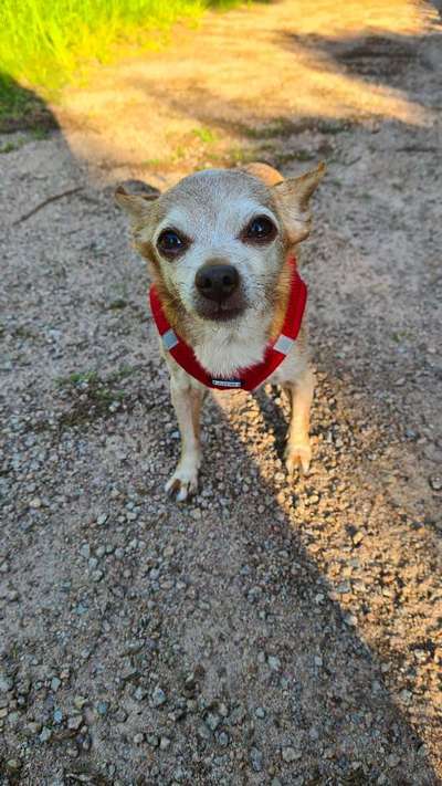 Doppelgänger gesucht !-Beitrag-Bild