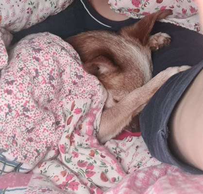 4. Lustiger Schlafplatz-Beitrag-Bild