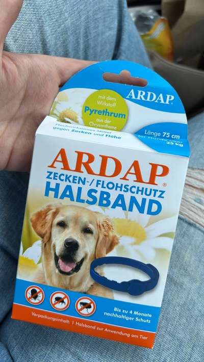 Ardap Zeckenhalsband-Beitrag-Bild