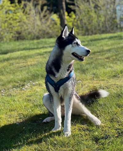 Theos Fotochallenge Nr. 3-Beitrag-Bild