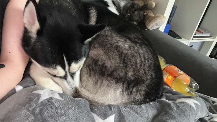 Jogging-Beitrag-Bild