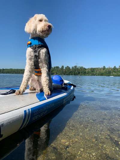 Dogorama Photo Challenge - Wasserspiele-Beitrag-Bild