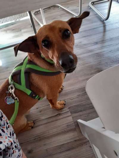 Lieblingsbild-Beitrag-Bild