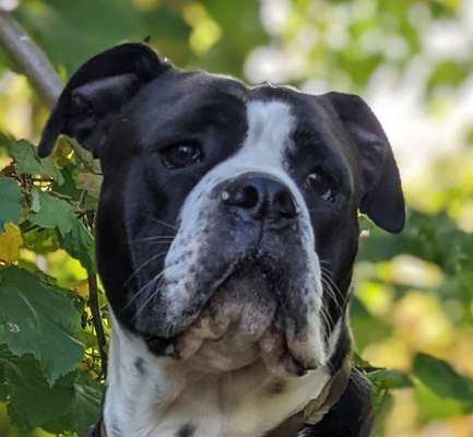 Fotochallange Nr. 57     PORTRÄT.   Beendet!!!!!!!!-Beitrag-Bild